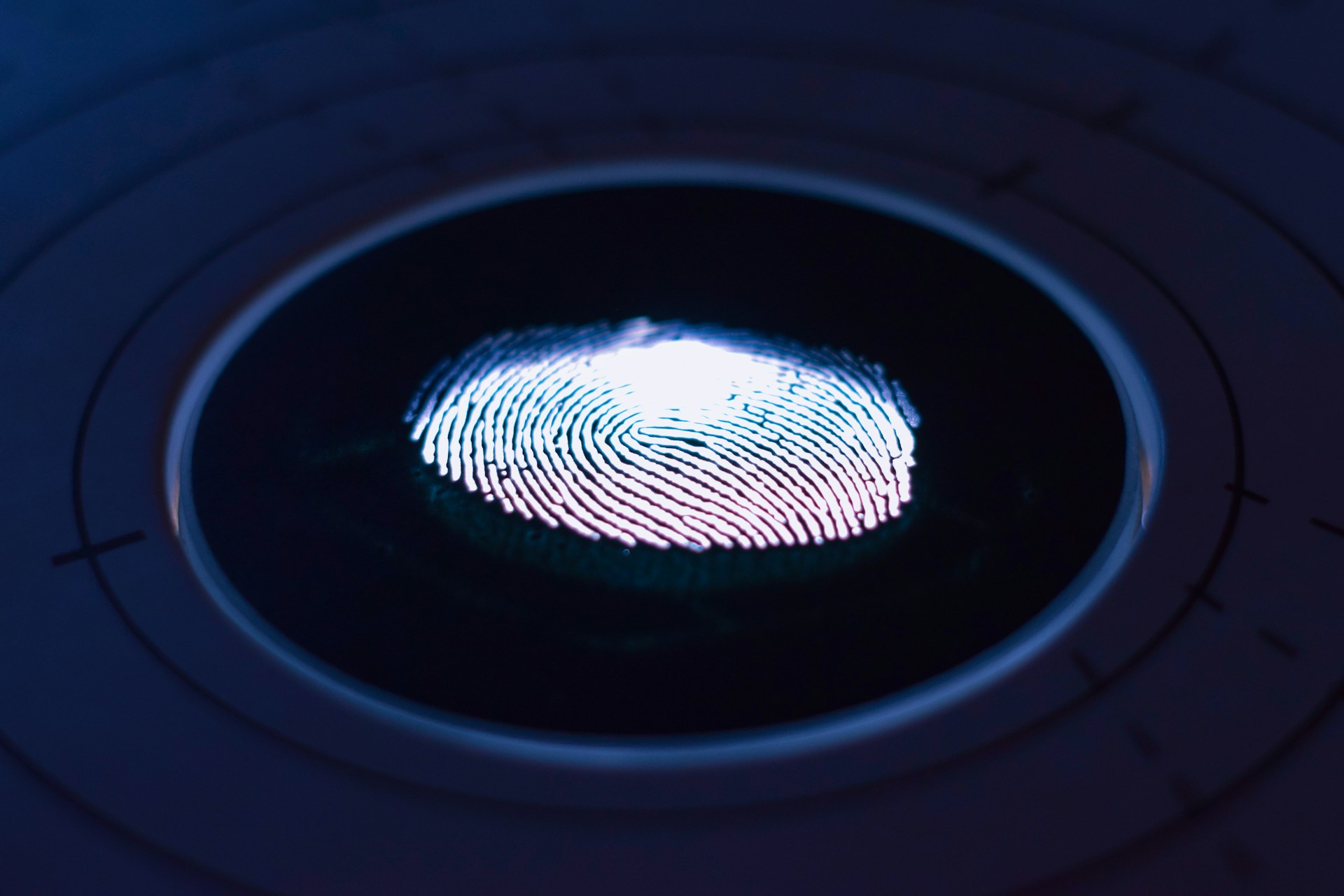 Hand using a stylus over a digital document interface